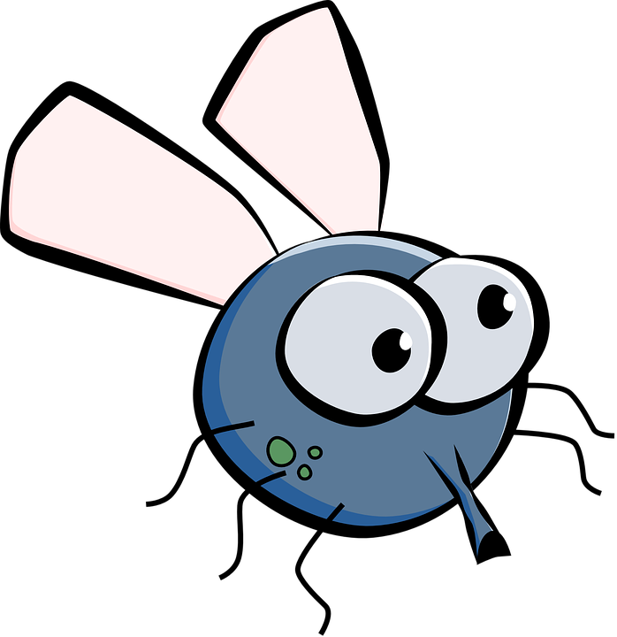 Graças a uma mosca