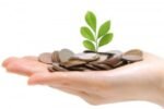 Sete níveis de contribuição