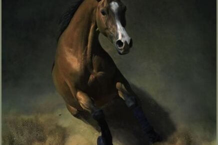 O cavalo no fundo do poço