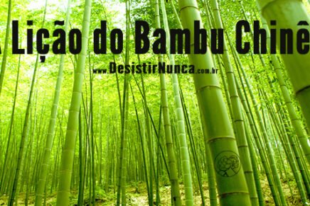 A lição do bambu chinês