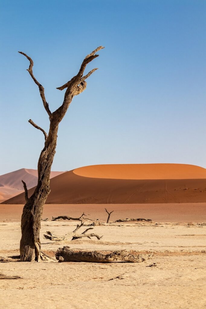 deserto
